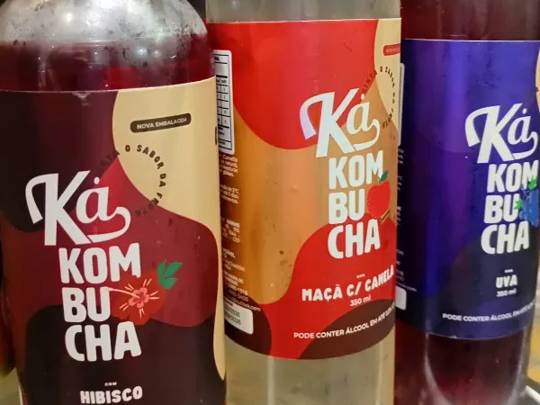 Kombucha 350ml